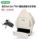 美國BIO-RAD伯樂 全新 Gel Doc? XR+ 凝膠成像系統(tǒng)1708195