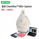美國BIO-RAD伯樂ChemiDoc? XRS+ 化學(xué)發(fā)光、熒光和比色成像系統(tǒng) 1708265
